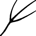 Kivalk's profile picture. Соперничество не создаёт ничего прекрасного, а гордость - ничего благородного. (с) Джон Рёскин