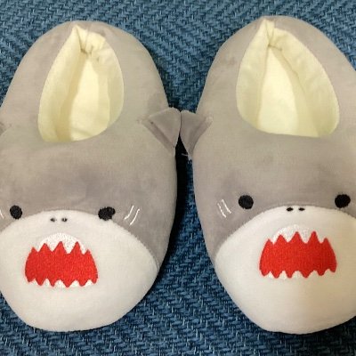 etigokougenn's profile picture. 越前高原のサブ垢

本垢→@etizenkougenn