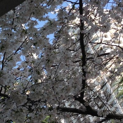 nwt173746's profile picture. 