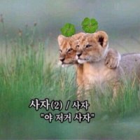 ์ฌ์ (@917cu) 's Twitter Profile Photo ์ฌ์ (@917cu) 's Twitter Profile Photo