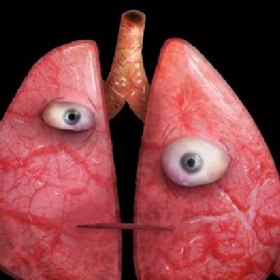 Yacine14221000's profile picture. 👊🏻Stupid hooligans🔪.