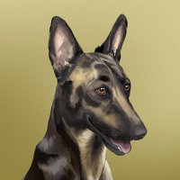 Broccoli - CTO (@firstbroccoli) 's Twitter Profile