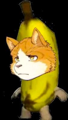 Bu67654Xun's profile picture. 