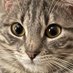 Pix (@pixfairydust) Twitter profile photo Pix (@pixfairydust) Twitter profile photo