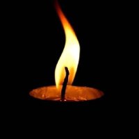 شاہد بلوچ (@shahid__nutkani) 's Twitter Profile