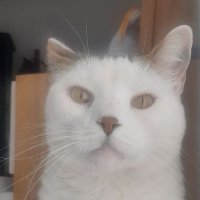 AntonyT (@tobon47703) 's Twitter Profile