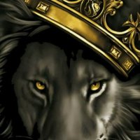 Doreen Hense (@doreenhense) 's Twitter Profile Photo Doreen Hense (@doreenhense) 's Twitter Profile Photo