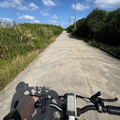 SAZANAMi_ry's profile picture. Loglass 新規事業開発←プリセールス | Loglass ← CADDi ← IBM | 投稿はすべて個人の見解です