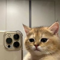 . (@8suspect) 's Twitter Profile