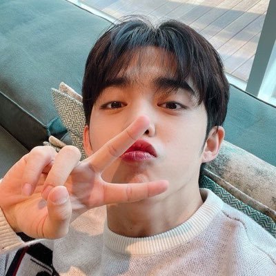 an enthusiast for seungcheol | she/her :D random act!