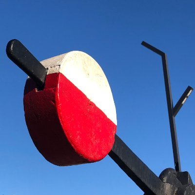 TidiZan's profile picture. 