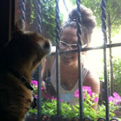 sheasabino's profile picture. Architect, activist, designer.