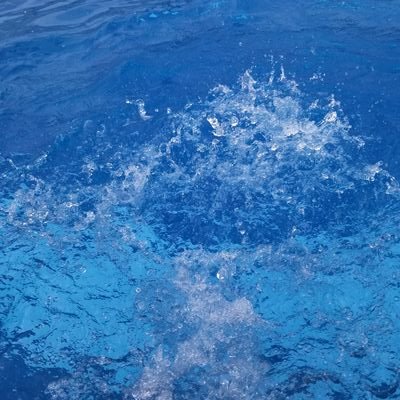 wifn_0304's profile picture. 