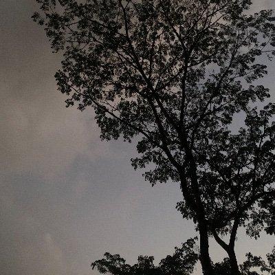 Syegingrh's profile picture. 