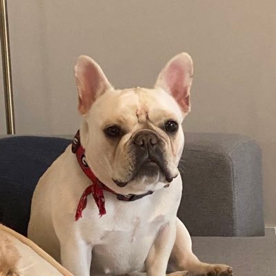 plake_britchett's profile picture. 