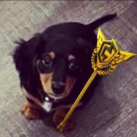 ext Zennbuca (@thugdyko7) 's Twitter Profile Photo ext Zennbuca (@thugdyko7) 's Twitter Profile Photo