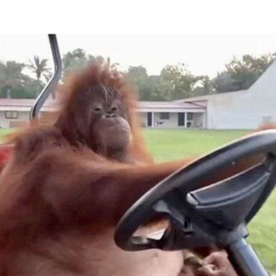 354Jammy78656's profile picture. 