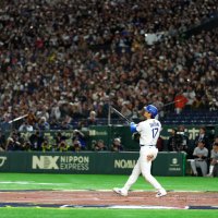 まえだくん (@n_m_11_08) 's Twitter Profile