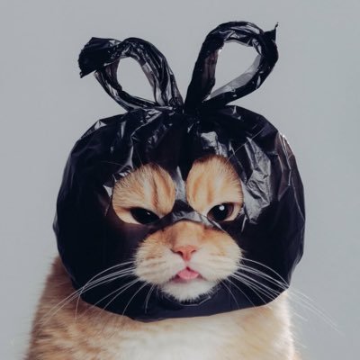 iambartman24's profile picture. half human|half cat