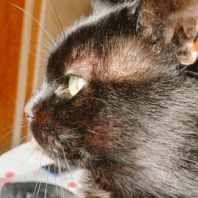 JBY112's profile picture. Praise The Sun ☀️
Dark Souls - NieR - Alan Wake  
💡 Physicien 🧠  &  ✏️ Dessinateur amateur 🖌️