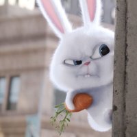 Babyyok 🍊(1188) (@babyyyyok) 's Twitter Profile