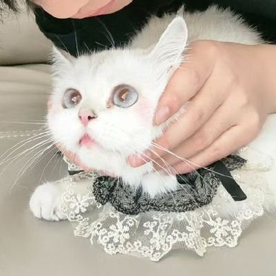 쏘さんのプロフィール画像