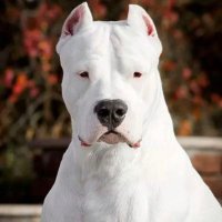 Mick (@mickjames2107) 's Twitter Profile