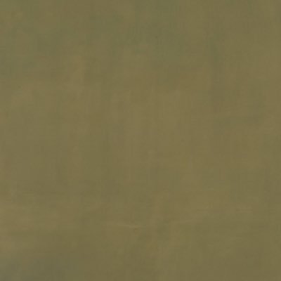 asas3214569's profile picture. 