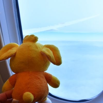 🇯🇵静岡出身🗻東京🇷🇺🇺🇸千葉🇬🇧🇮🇹埼玉🇫🇷🇩🇪など経由して今は海外駐在🇨🇳🇹🇼🇸🇬
清水エスパルス⚽ベルテックス静岡🏀温泉サウナ🧖Perfume🎙F1角田裕毅HONDA🏎箱推しでも頻繁には帰れないため🛫各成分SNS&たまに現場で補給中💊