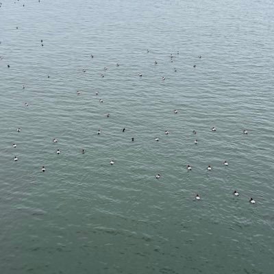 astgkrb's profile picture. 