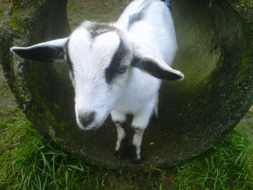 sof_nbaked's profile picture. you are kinda funny and I laugh at everything, that's why we are friends :)