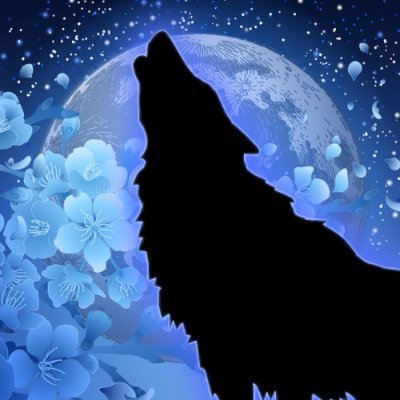 VTuber/Streamer/Gamer/Artist/Songwriter/Entertainer
https://t.co/NFv4Y7eN8D