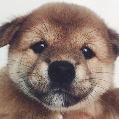 ㅎㅎさんのプロフィール画像