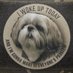 The_Angry_Shih_Tzu ๐บ๐ธ (@angry_shih_tzu) Twitter profile photo The_Angry_Shih_Tzu ๐บ๐ธ (@angry_shih_tzu) Twitter profile photo