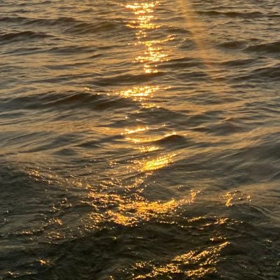 sarahnators3000's profile picture. i lowkey hv a masters degree