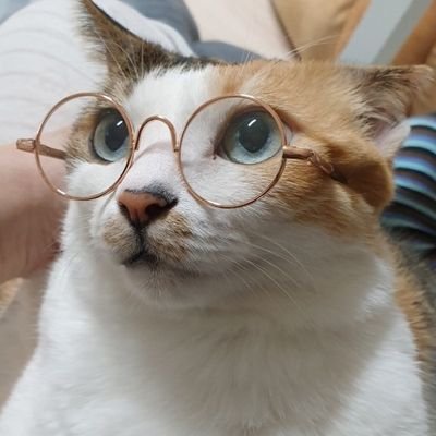 BanzakMuzigae's profile picture. 세상에 대한 관심, 그리고 💡ONF💡/
정덕출신이라 시사이슈 언급 좀 있어요/ T같은 INFP🤓/ 로투킹 입덕