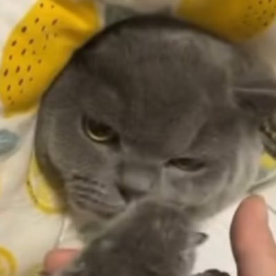 bqj_x's profile picture. BOアフィ最前線プレイヤーでした 今は自販機の下漁って生活してます