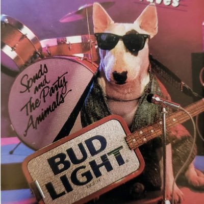 Baseball, Budweiser are the 2 B’s to live by. Vechain Thor powered Ⓥ B3TR actions