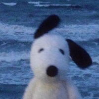 그딴건지가 (@dnfhdckk) 's Twitter Profile Photo 그딴건지가 (@dnfhdckk) 's Twitter Profile Photo