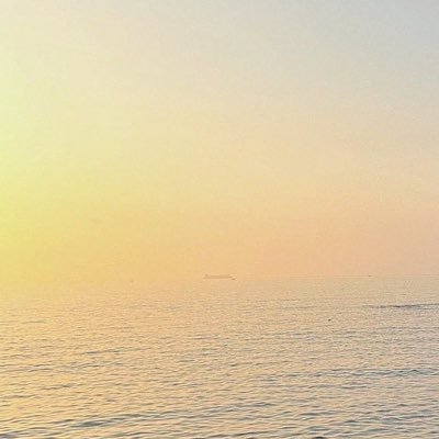 yyyy_n0007's profile picture. @fort_fts @Josswayar @ohmthitiwat 💙🇯🇵