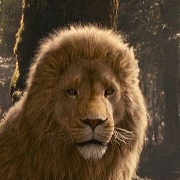 Catflow_'s profile picture. 