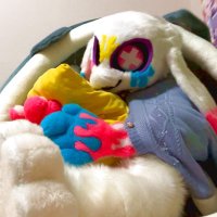 ハスたろう (@z_quc4) 's Twitter Profile