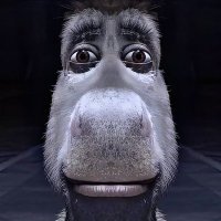 azazel (@louzazazel) 's Twitter Profile Photo azazel (@louzazazel) 's Twitter Profile Photo