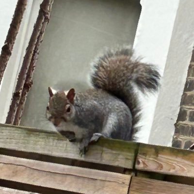 bend1299's profile picture. Will sell feet pics #feetpics