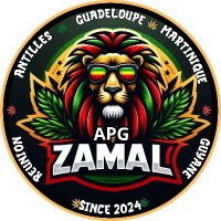 APG ZAMAL (@apgzamal) 's Twitter Profile