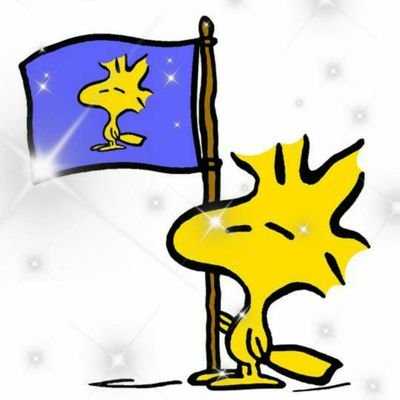 TOh1831674's profile picture. 猫垢化しちゃったポイ活垢を作り直し