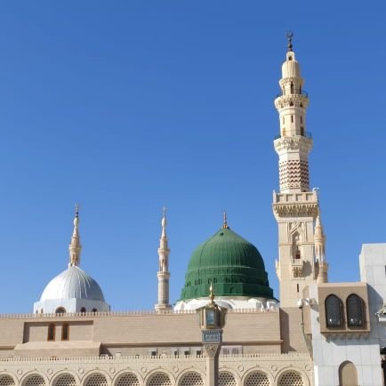 abdmamun1180's profile picture. cryptolover