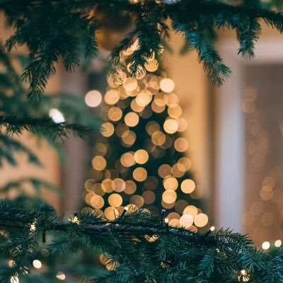 FondaDanie59570's profile picture. 