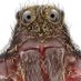 Bryan Langlois, DVM (@animalsheltrdoc) Twitter profile photo Bryan Langlois, DVM (@animalsheltrdoc) Twitter profile photo