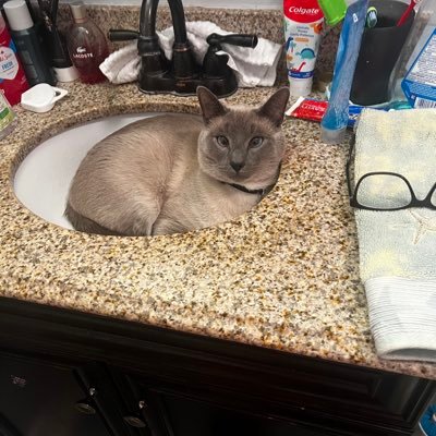 nbousquet18's profile picture. # 1 job is being a mom and wife